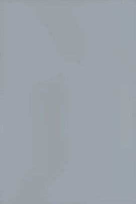 Gray Finished Plywood Panel